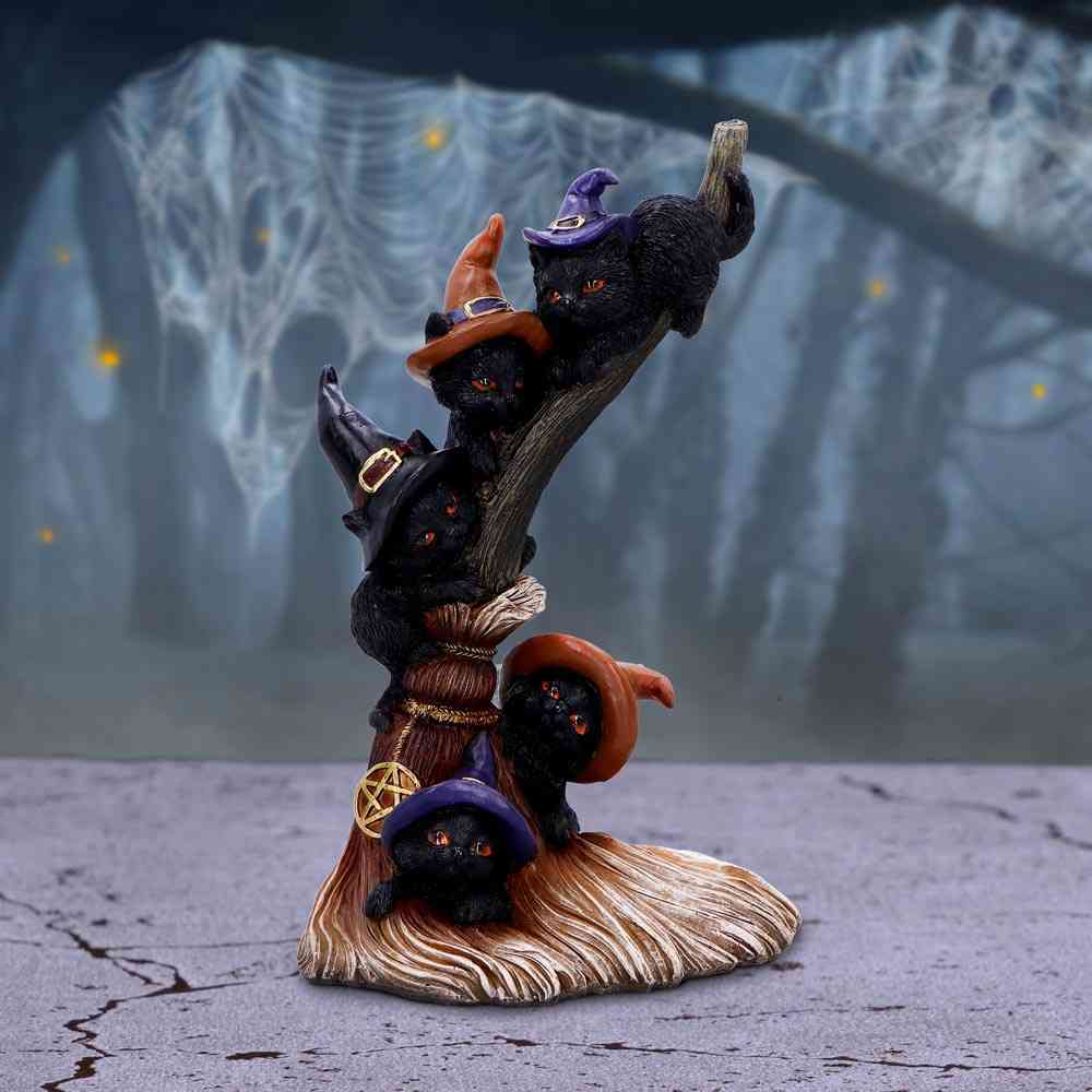 Nemesis Now - Broomstick Kindle 21cm Beeld/figuur - Multicolours
